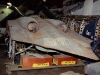 Horton Wing / Gotha Go 229